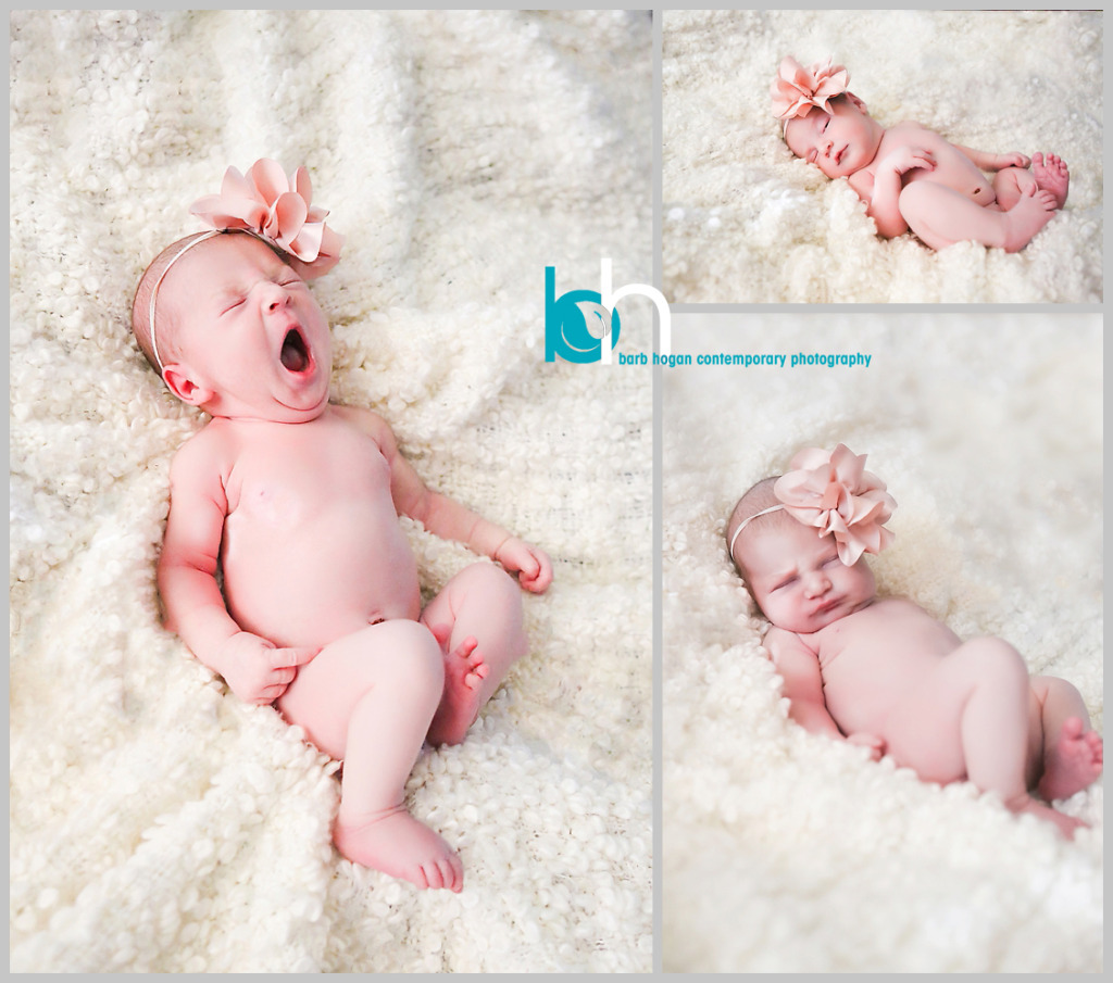 newborn photography, cincinnati newborn photography