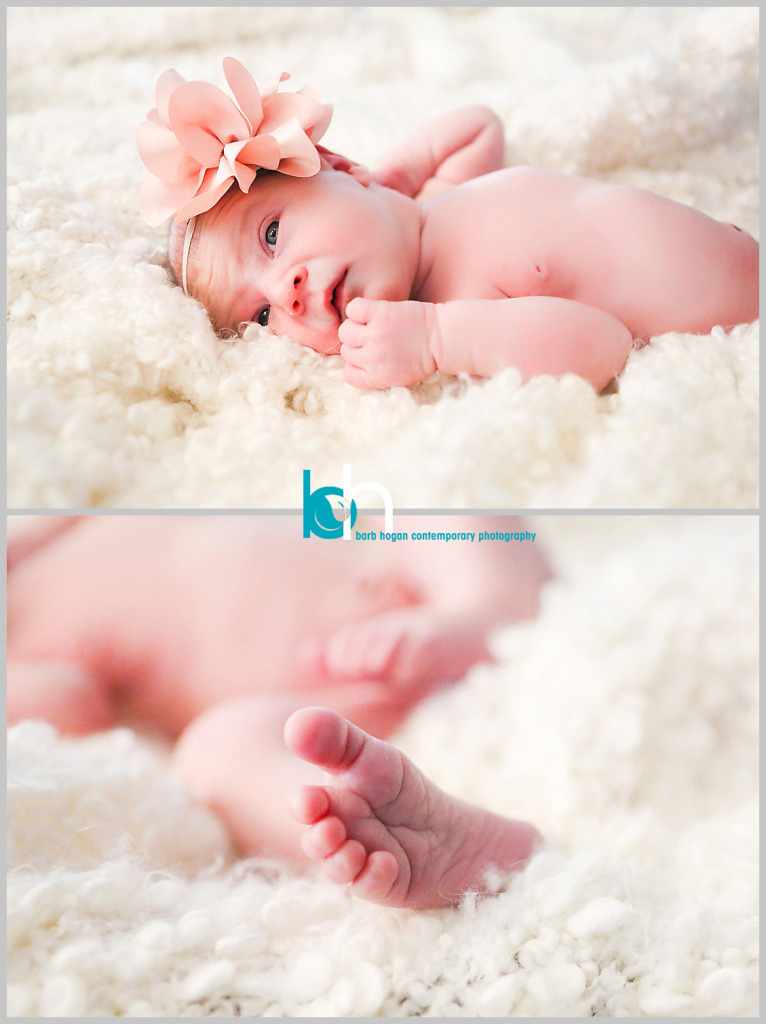 newborn photography, cincinnati newborn photography