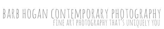 Barb Hogan Contemporary Photography logo