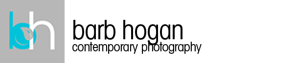 Barb Hogan Contemporary Photography logo